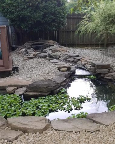 Pond Rebuild